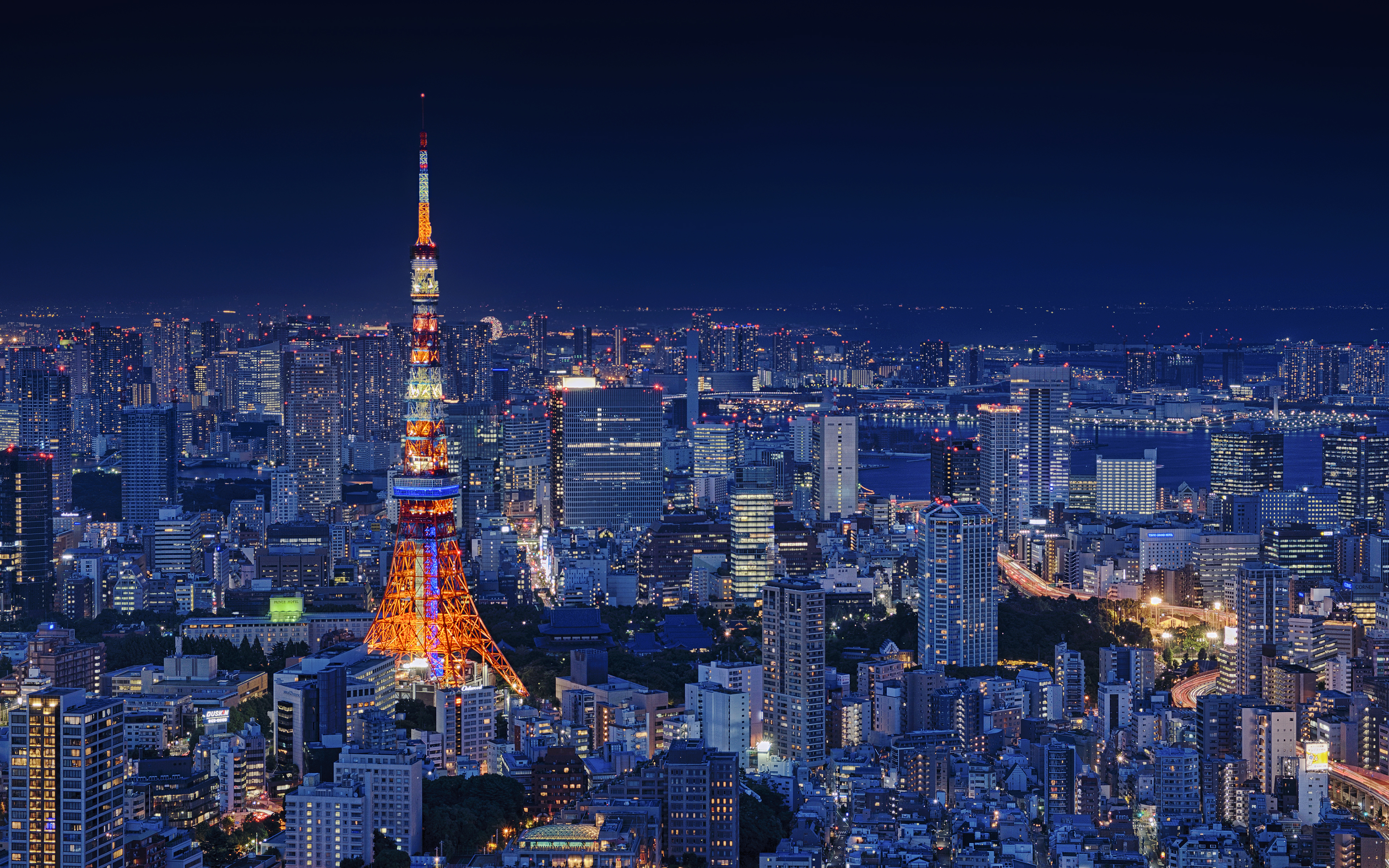 Tokyo Skyline with modern buildings and neon lights